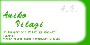 aniko vilagi business card